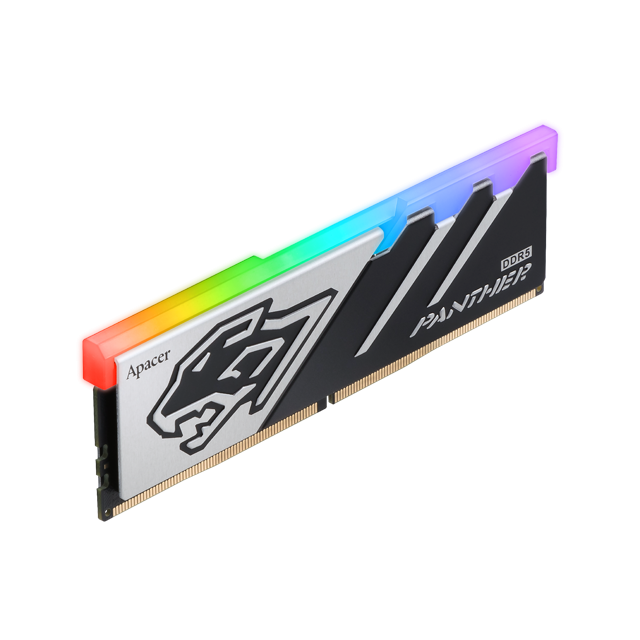 Apacer%20Panther%20RGB%2016GB%20(1x16GB)%206000MHz%20CL40%20DDR5%20Gaming%20Ram%20(AH5U16G60C5129BAA-1)