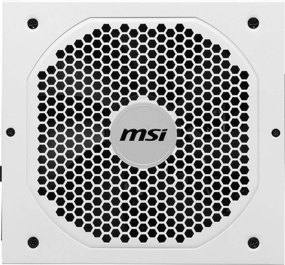 MSI%20MPG%20A750GF%20WHITE%20750W%2080+%20GOLD%20POWER%20SUPPLY